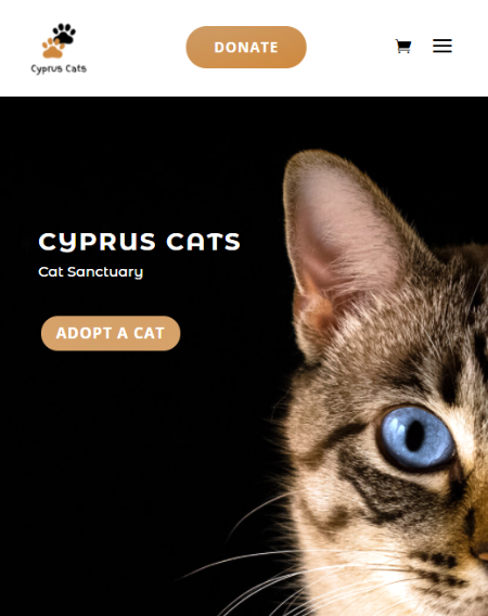 Cyprus Cats.com by Virtualeap
